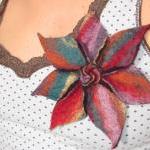Vibrant Merino Rainbow Flow..