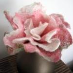 Pink and White Merino and S..