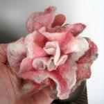 Pink and White Merino and S..