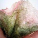 Pink and White Merino and S..