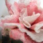 Pink and White Merino and S..